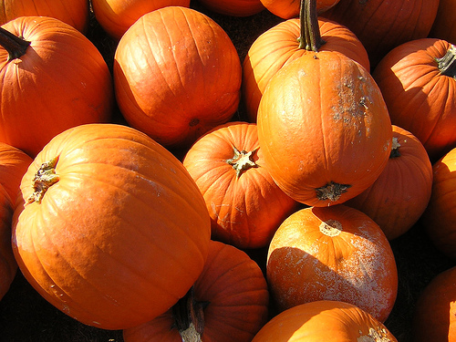 One of the top ten autumn cocktails