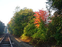 One of the top ten fall foliage
