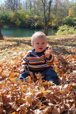 One of the top ten ways to enjoy leaves changing