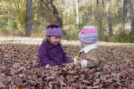 One of the top ten ways to enjoy leaves changing