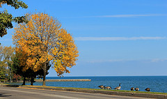 One of the top ten fall foliage