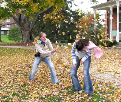 One of the top ten ways to enjoy leaves changing