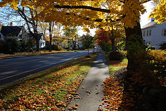 One of the top ten fall foliage