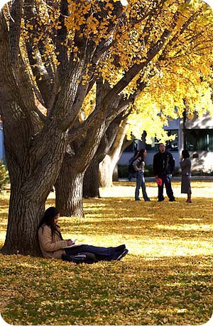 One of the top ten ways to enjoy leaves changing