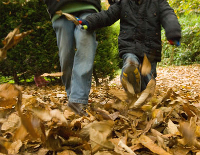 One of the top ten ways to enjoy leaves changing