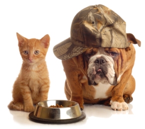 One of the best of dog and cat foods