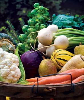 A list of the top ten fall garden vegetable recipes