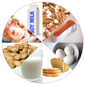 basic cooking tips wheel of common food allergies