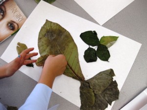 leaf collage