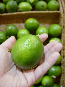 basic cooking skills lime in hand
