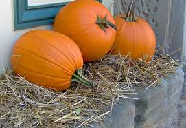 One of the top ten pumpkin decorating ideas