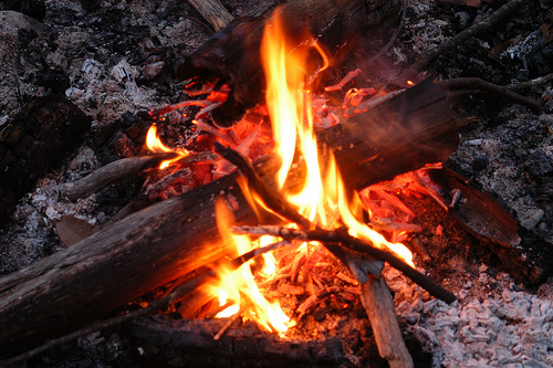 One of the top ten basic survival techniques