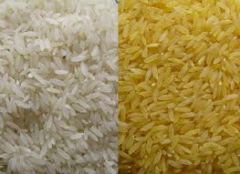 One of the top ten types of crops in the U.S.