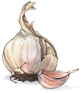One of the top ten causes of body odor