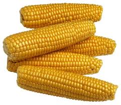 One of the top ten types of crops in the U.S.
