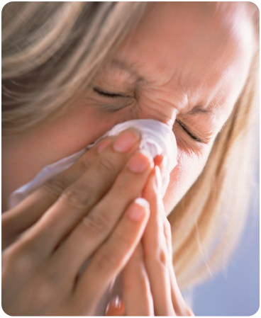 One of the best of indoor air quality solutions