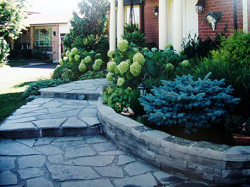 One of the top ten dramatic curb appeal ideas