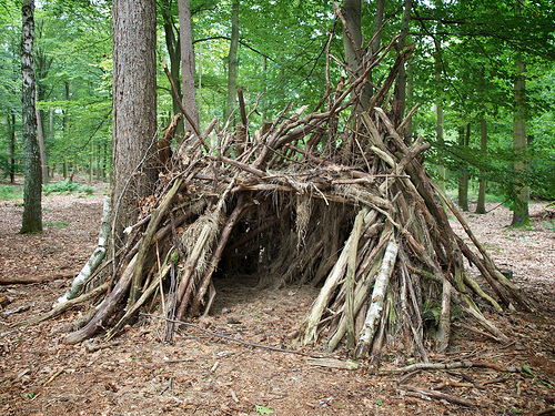 One of the top ten basic survival techniques