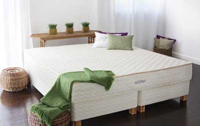 organic mattresses