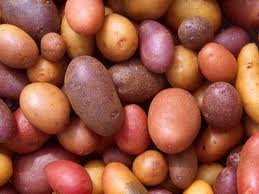 One of the top ten types of crops in the U.S.