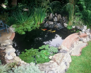 One of the top ten Mediterranean garden design ideas