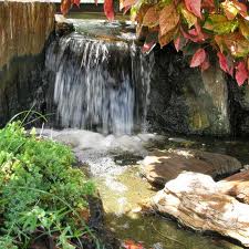 One of the top ten Mediterranean garden design ideas
