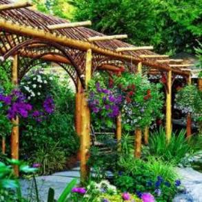 One of the top ten Mediterranean garden design ideas