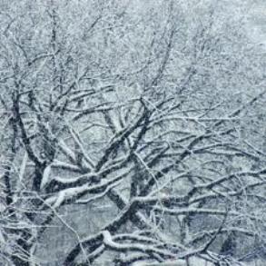 One of the top ten what to do when it snows