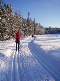 One of the top ten what to do when it snows