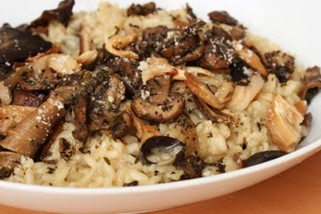 A list of the top ten best Italian recipes