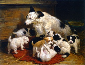 A list of the top ten unique dog names