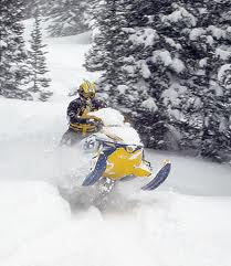 A list of the top ten activities for January