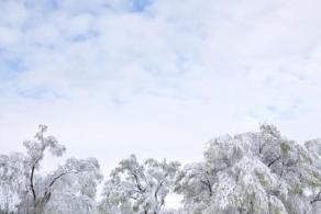 A list of the top ten snow safety tips