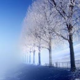 One of the top ten tips for choosing a winter sport