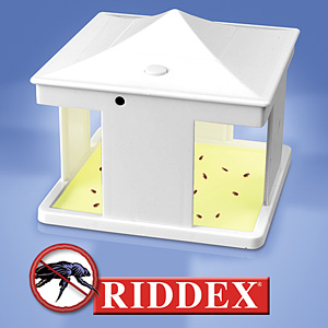 One of the best of pest protection for your home