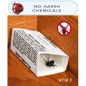 One of the best of pest protection for your home