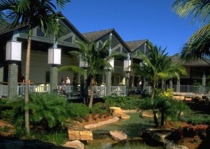Best South Florida shopping Malls The Falls