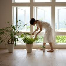 A list of the top ten ways to improve indoor air quality