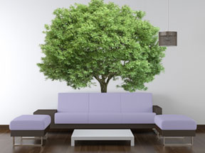 A list of the best of what to hang on your walls