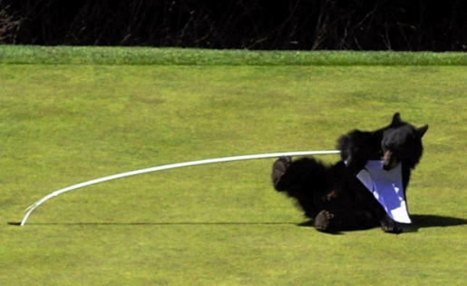 A list of the top ten golf course games