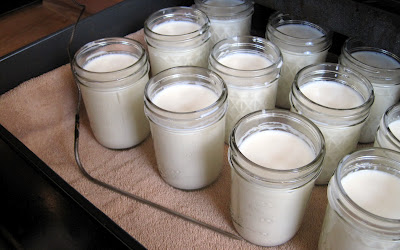 A list of the top ten low fat yogurt recipes