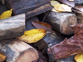 A list of the top ten ways to keep the home fires burning