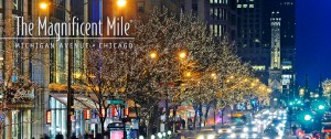 A list of the top ten chicago shopping areas