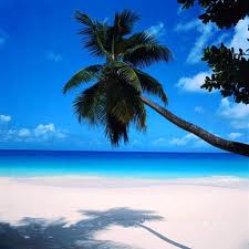 One of the top ten cheap spring break packages