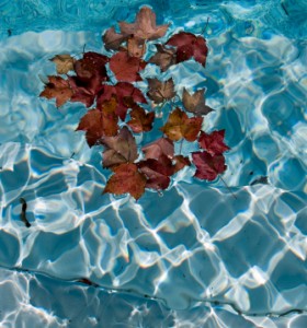 A list of the top ten new and innovative pool and patio products