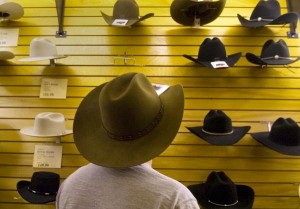 Best of shopping in phoenix sheplers