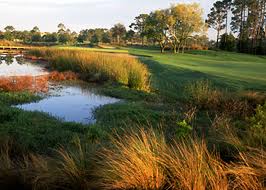 One of the top ten Sandestin golf course holes
