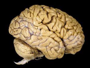 A list of the top ten smartest people in the world