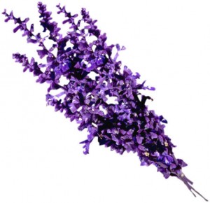 A list of the best of exotic bath and body products