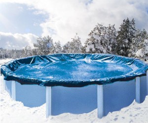 A list of the top ten tips for buying pool algaecide